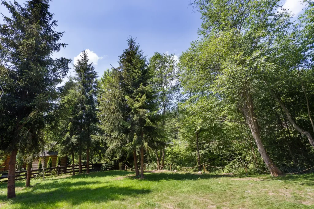 janosik premium łopuszna domki do wynajęcia (24) janosik premium domki łopuszna domki do wynajęcia